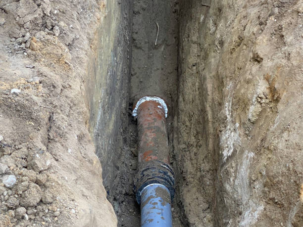 Best Professional water damage repair  in Forreston, IL