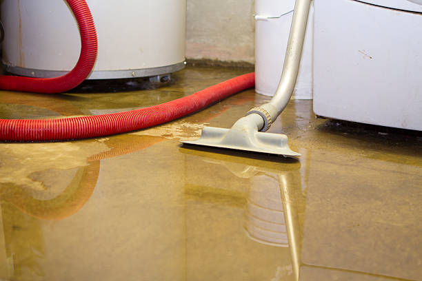 Best Commercial water damage restoration  in Forreston, IL